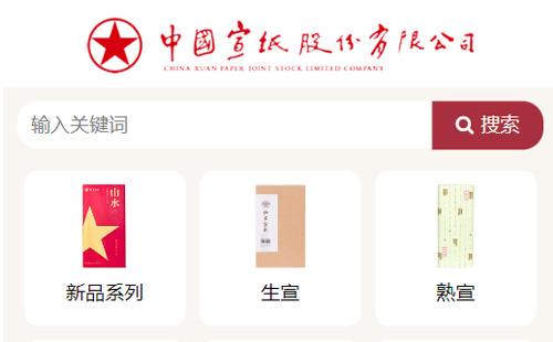 瀘州黑羽網(wǎng)絡(luò)案例紅星宣紙